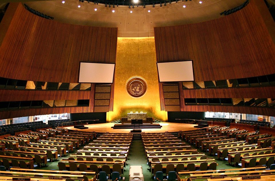 The UN General Assembly