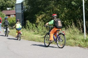 26 May 2016 – Together for cycling safety, Brussels