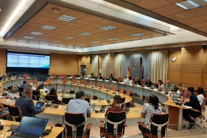 PIN Talk – Road Safety Strategies: Saving lives, Madrid, Spain 7 July